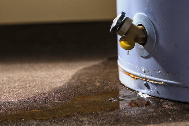 Best Commercial water damage restoration  in Gardner, MA