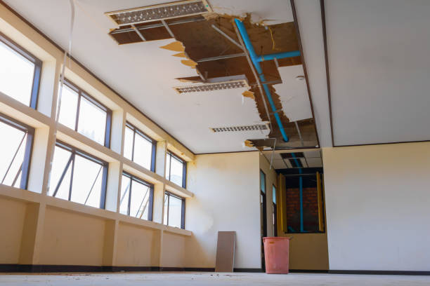 Best Flooded house restoration  in Gardner, MA