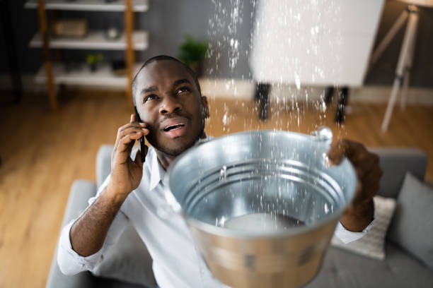 Best Carpet water damage restoration  in Gardner, MA