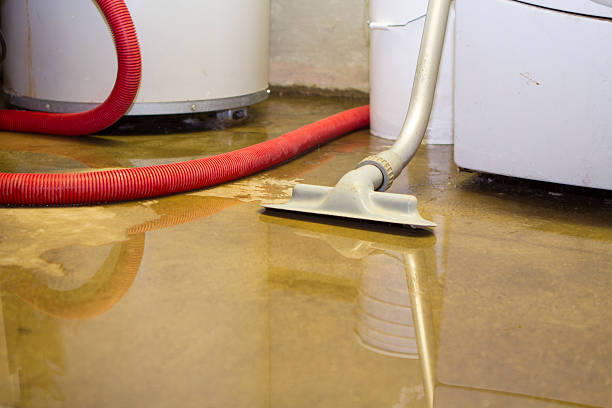 Carpet water damage restoration in Gardner, MA