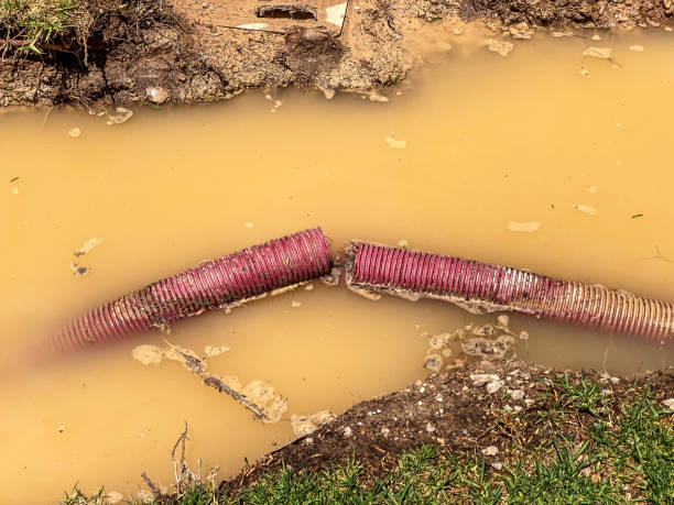Best Basement water damage restoration  in Gardner, MA