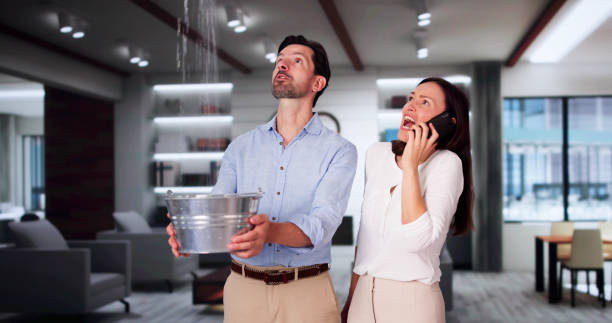 Best Fire Damage Restoration  in Gardner, MA